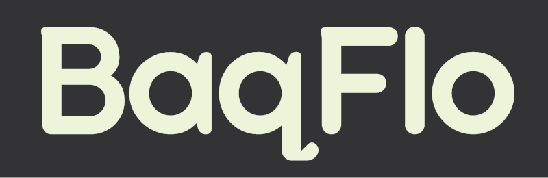 BaqFlo WordPress Extensions